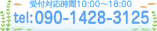 受付対応時間10:00～18:00　tel:090-1428-3125